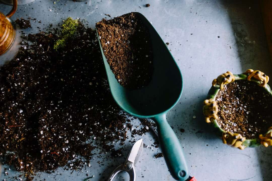 Coffee grounds for garden.