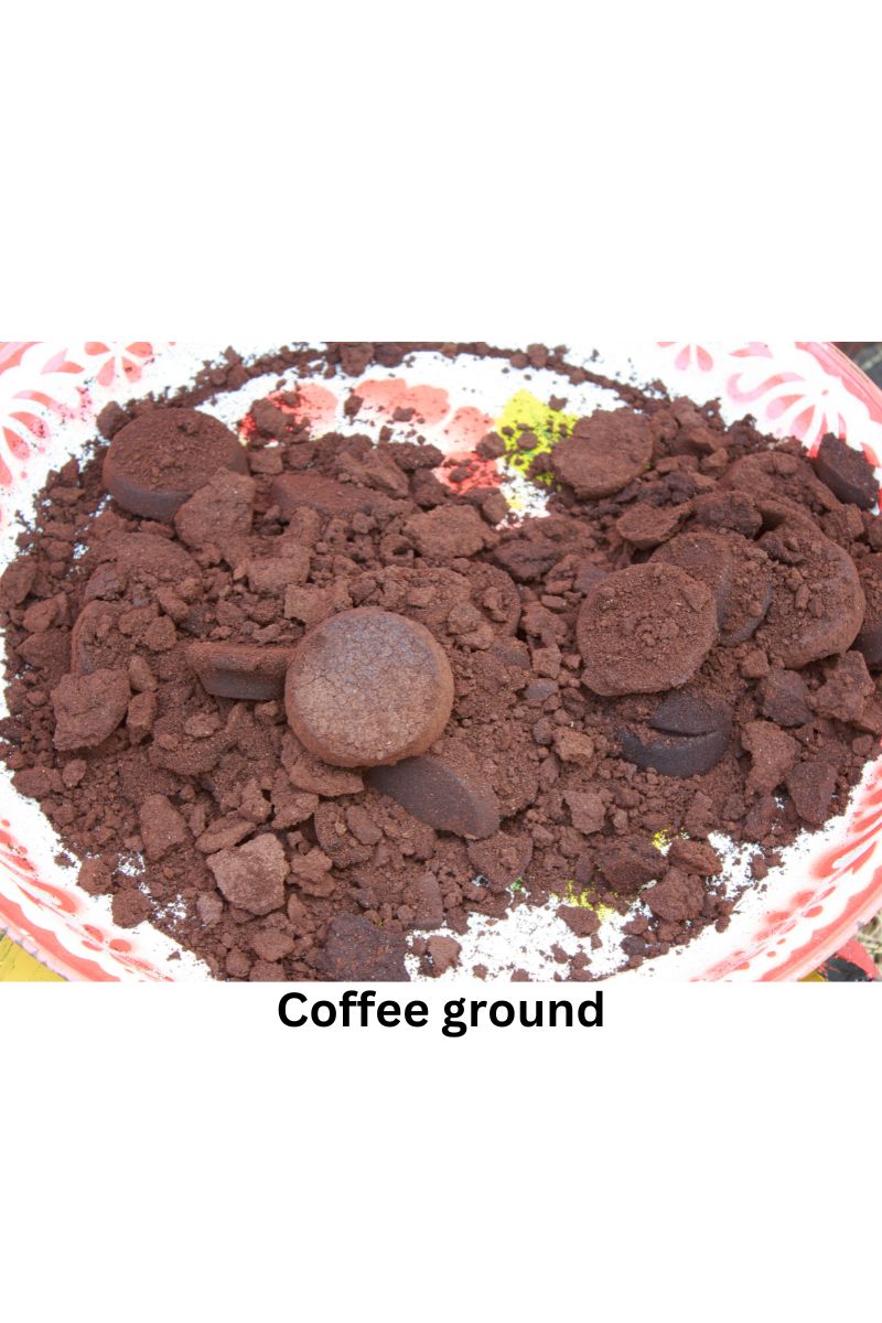 using moldy coffee grounds in the garden.